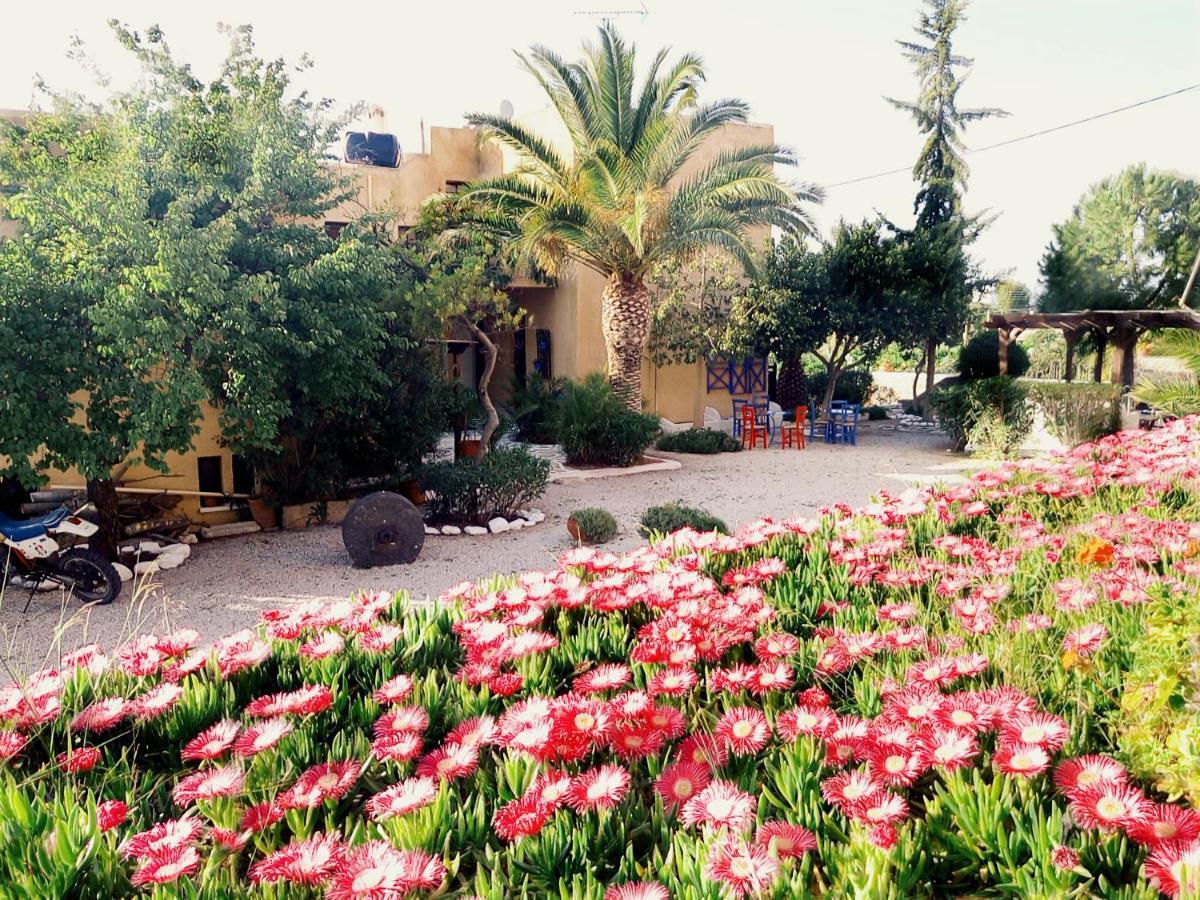 Vagia Beach Apartments, Aegina Island Rum bild